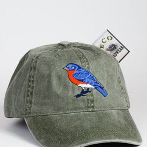 A green hat with a blue bird on it