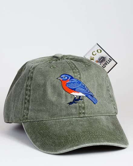 A green hat with a blue bird on it