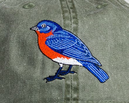 Cardinal Cap - ECO Wear & Publishing, Inc.