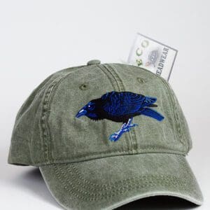 A hat with a bird on it and money in the back.