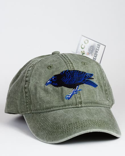 A hat with a bird on it and money in the back.