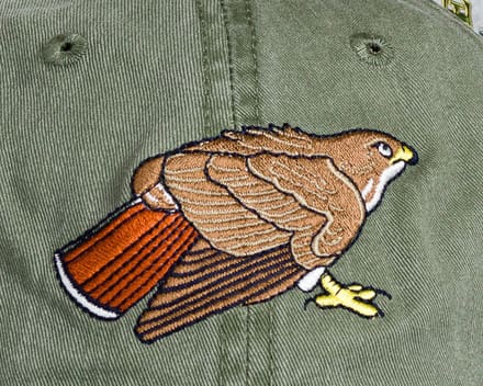 A bird is embroidered on the back of a hat.