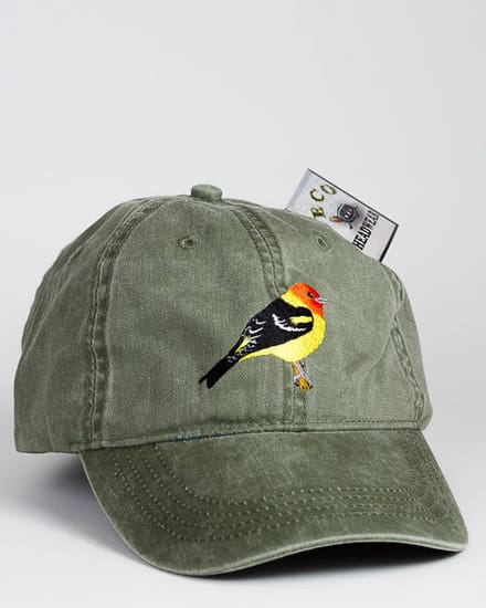A hat with a bird on it and a dollar bill