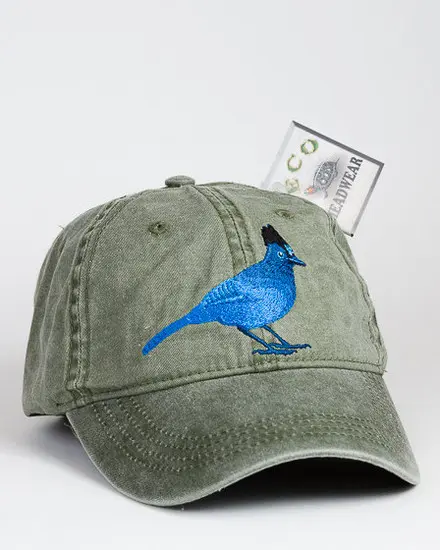 A green hat with a blue bird on it