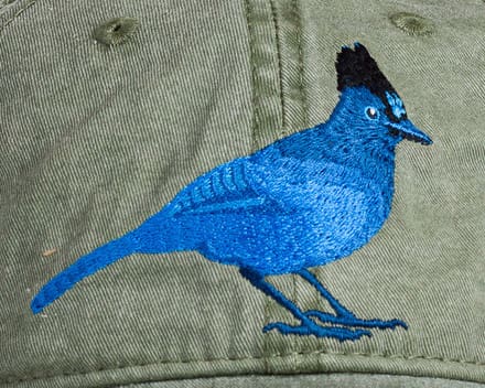 A blue bird is embroidered on the side of a hat.