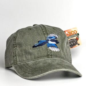 A Pileated Woodpecker Cap with a blue jay embroidered on it.