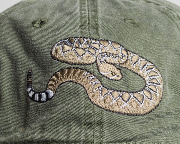 A close up of the snake on a hat