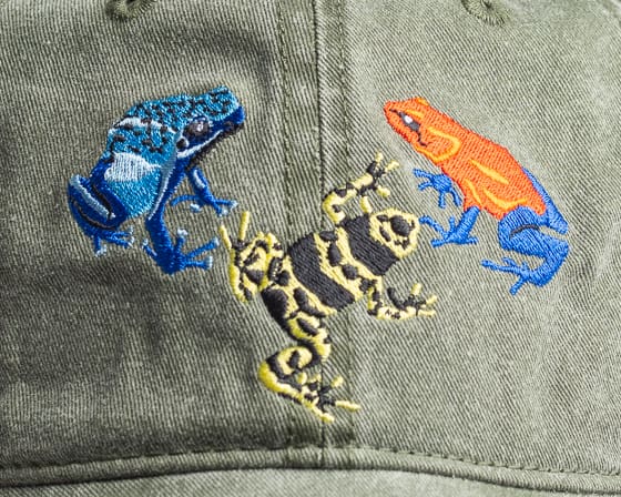 A close up of three different colored frogs on a hat
