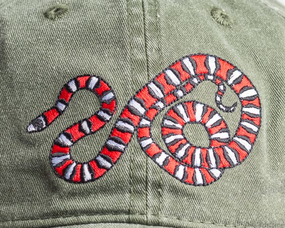 A close up of the snake on a hat