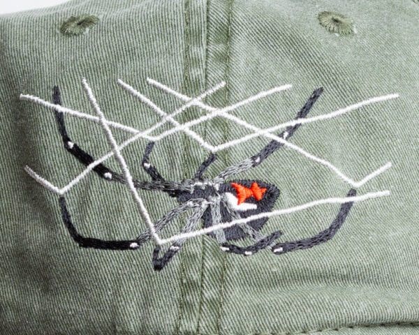 A close up of the spider on a hat