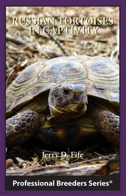 A turtle is sitting in the dirt and looking up.