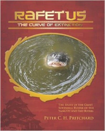 A book cover with an image of a person swimming in the water.