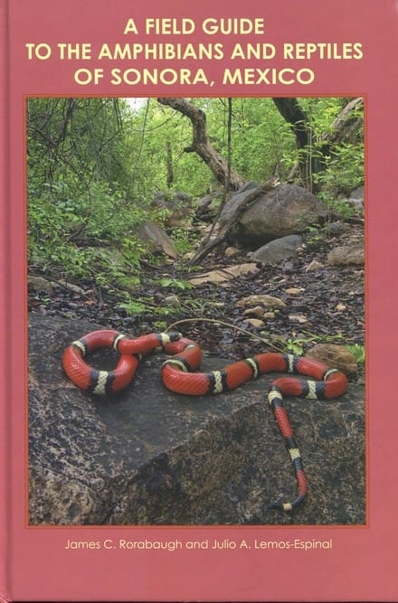 A red and white snake is on the ground