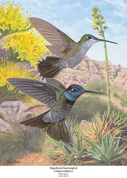 Two hummingbirds flying next to a plant.