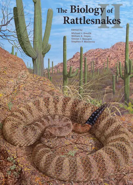 A painting of a rattlesnake in the desert.