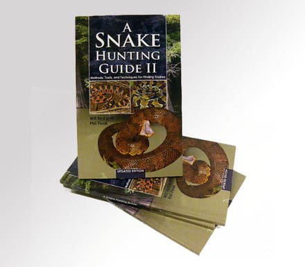 A snake hunting guide ii