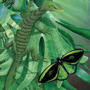 A painting of a lizard and butterfly on the leaves.