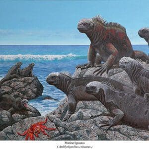 A painting of several different types of animals on rocks.