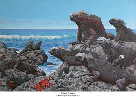 A painting of several different types of animals on rocks.