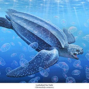 A painting of a sea turtle swimming in the ocean.