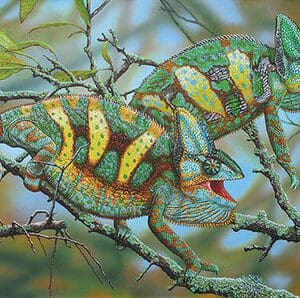 A painting of two chameleons in the tree.