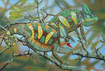 A painting of two chameleons in the tree.