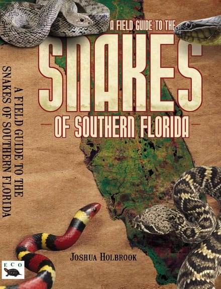 A field guide to the snakes of southern florida