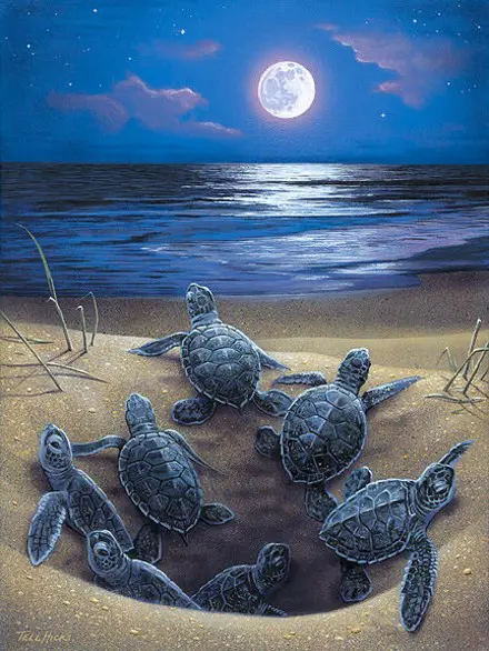 A painting of baby turtles on the beach