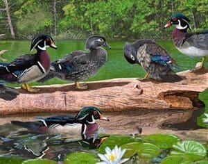 A group of ducks sitting on top of a log.