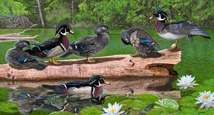 A group of ducks sitting on top of a log.