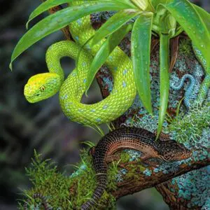 A green snake is sitting on the tree