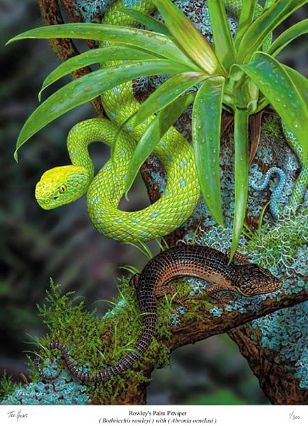 A green snake is sitting on the tree