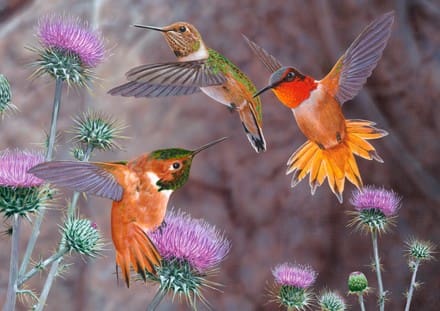 A painting of three hummingbirds flying over purple flowers.