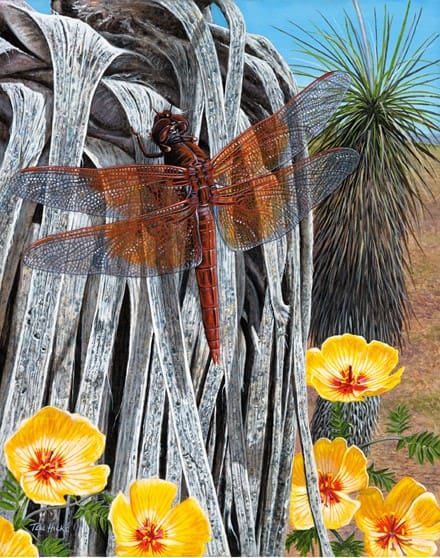 A painting of a red dragonfly in front of yellow flowers.