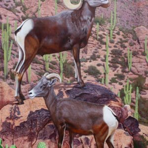 Two rams are standing on a hill with cacti.