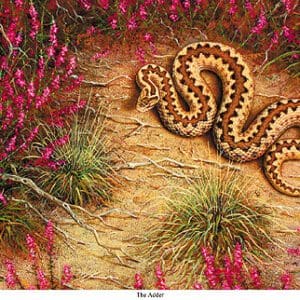 A painting of a snake in the middle of some bushes