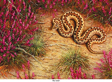 A painting of a snake in the middle of some bushes