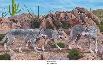 A painting of three dogs walking on the rocks