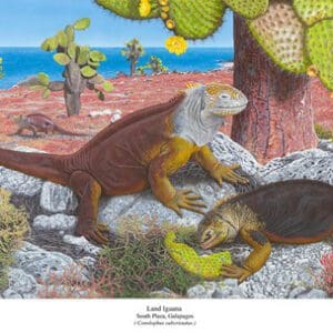 A painting of two lizards eating leaves off a cactus.