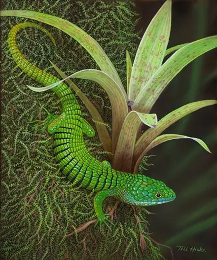 A green lizard is sitting on the ground