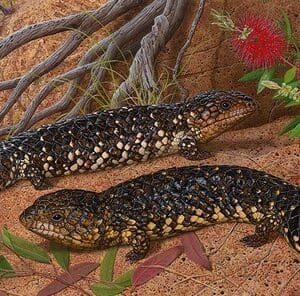 Two lizards are sitting on the ground near a bush.