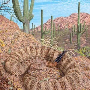 A painting of a rattlesnake in the desert