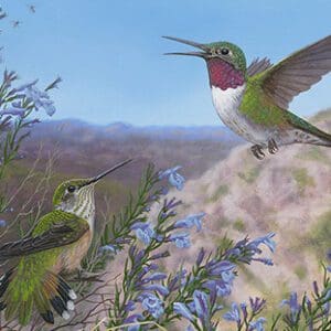 Two hummingbirds are flying near a bush.
