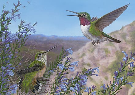 Two hummingbirds are flying near a bush.