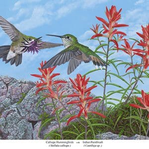 A painting of two hummingbirds flying over flowers.