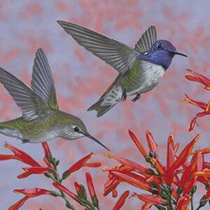 Two hummingbirds are flying around a flower.