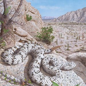 A painting of an adder snake in the desert