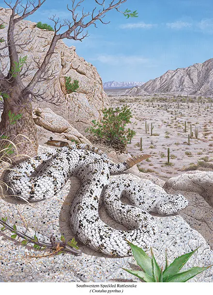 A painting of an adder snake in the desert