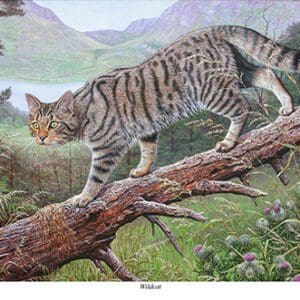 A painting of a cat on a branch