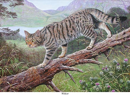 A painting of a cat on a branch